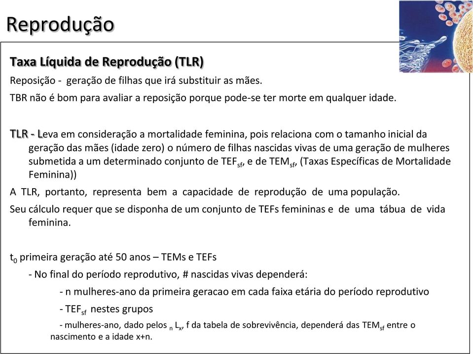 determinado conjunto de TEF sf, e de TEM sf, (Taxas Específicas de Mortalidade Feminina)) A TLR, portanto, representa bem a capacidade de reprodução de uma população.