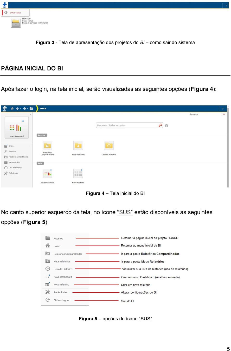 opções (Figura 4): Figura 4 Tela inicial do BI No canto superior esquerdo da tela,