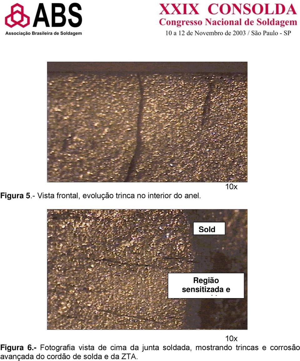 10x Sold Região sensitizada e íd 10x Figura 6.