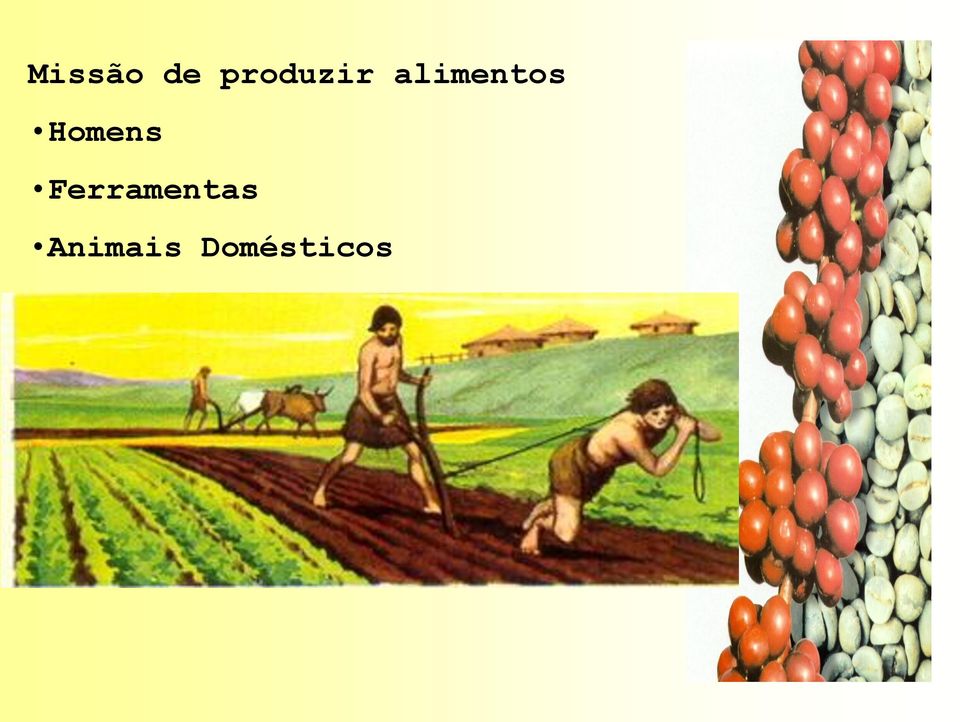 alimentos Homens