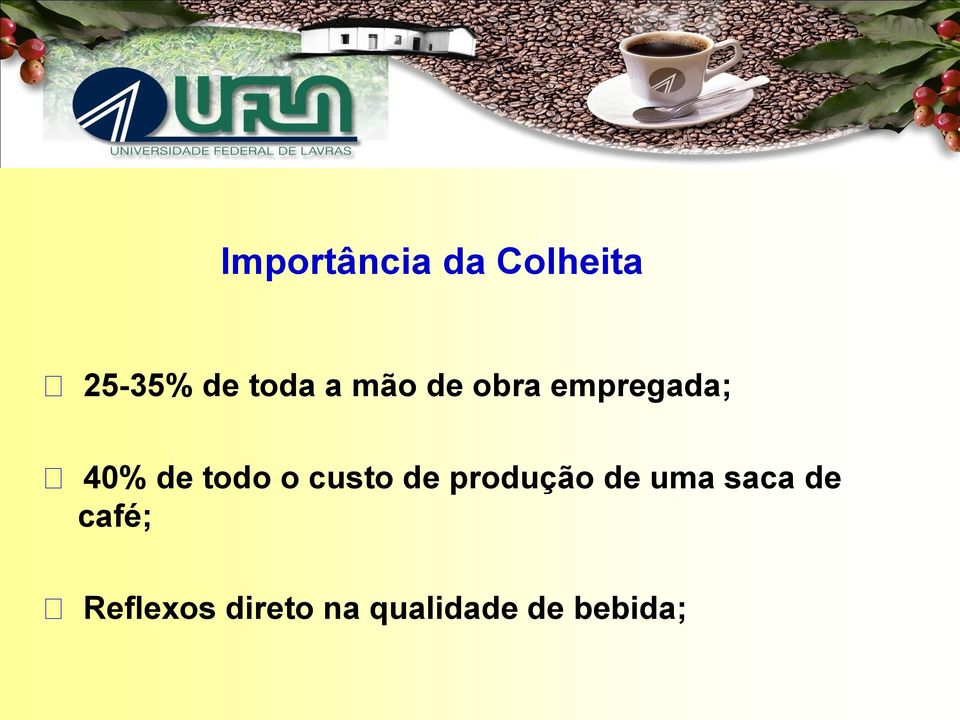 custo de produção de uma saca de café;