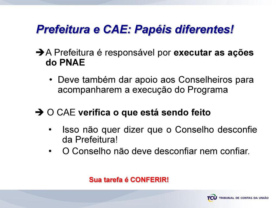 Conselheiros para acompanharem a execução do Programa O CAE verifica o que está