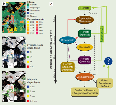 Figura 4. Exemplo do monitoramento da dinâmica de desmatamento obtido com a série temporal de imagens Landsat a partir da metodologia desenvolvida pelo Imazon (a).