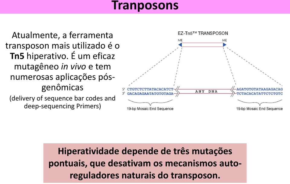 sequence bar codes and deep-sequencing Primers) Hiperatividade depende de três