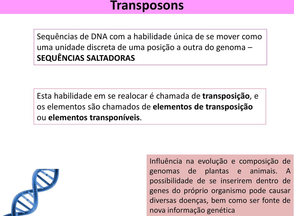 transposição ou elementos transponíveis. Influência na evolução e composição de genomas de plantas e animais.