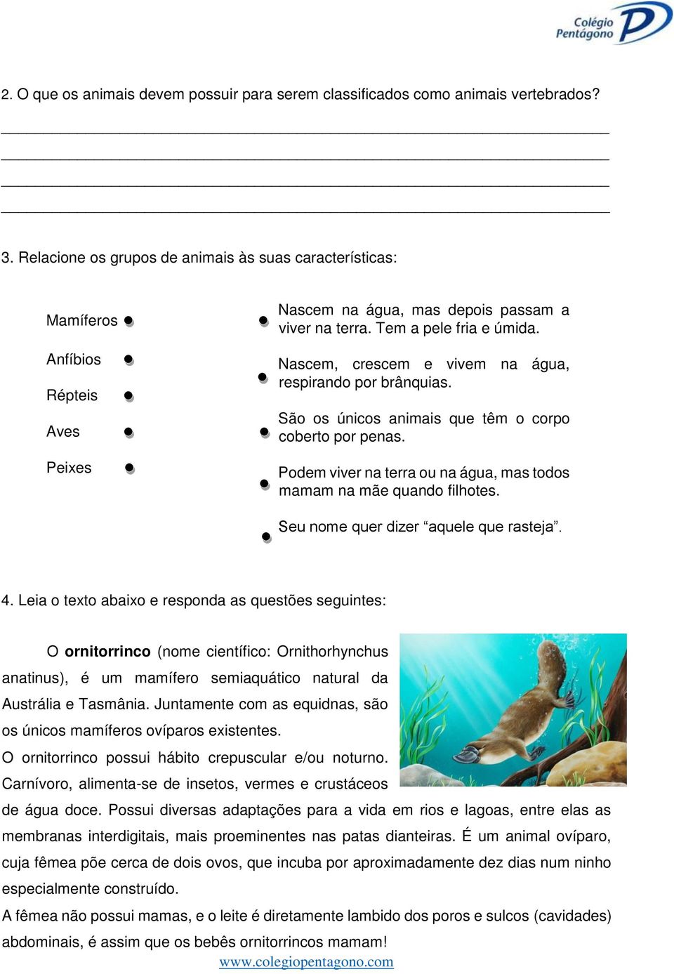 Nascem, crescem e vivem na água, respirando por brânquias. São os únicos animais que têm o corpo coberto por penas. Podem viver na terra ou na água, mas todos mamam na mãe quando filhotes.