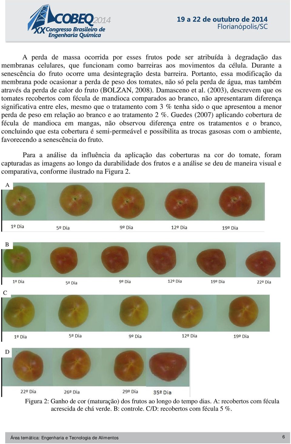 Portanto, essa modificação da membrana pode ocasionar a perda de peso dos tomates, não só pela perda de água, mas também através da perda de calor do fruto (BOLZAN, 2008). Damasceno et al.