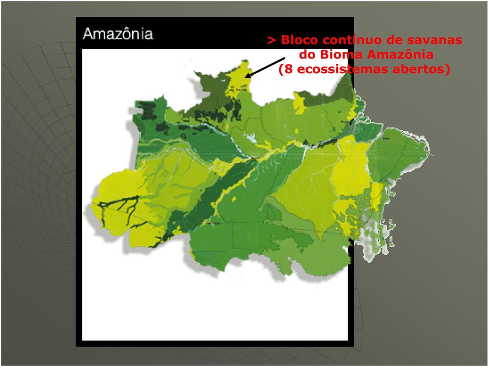 Bioma Amazônia (8