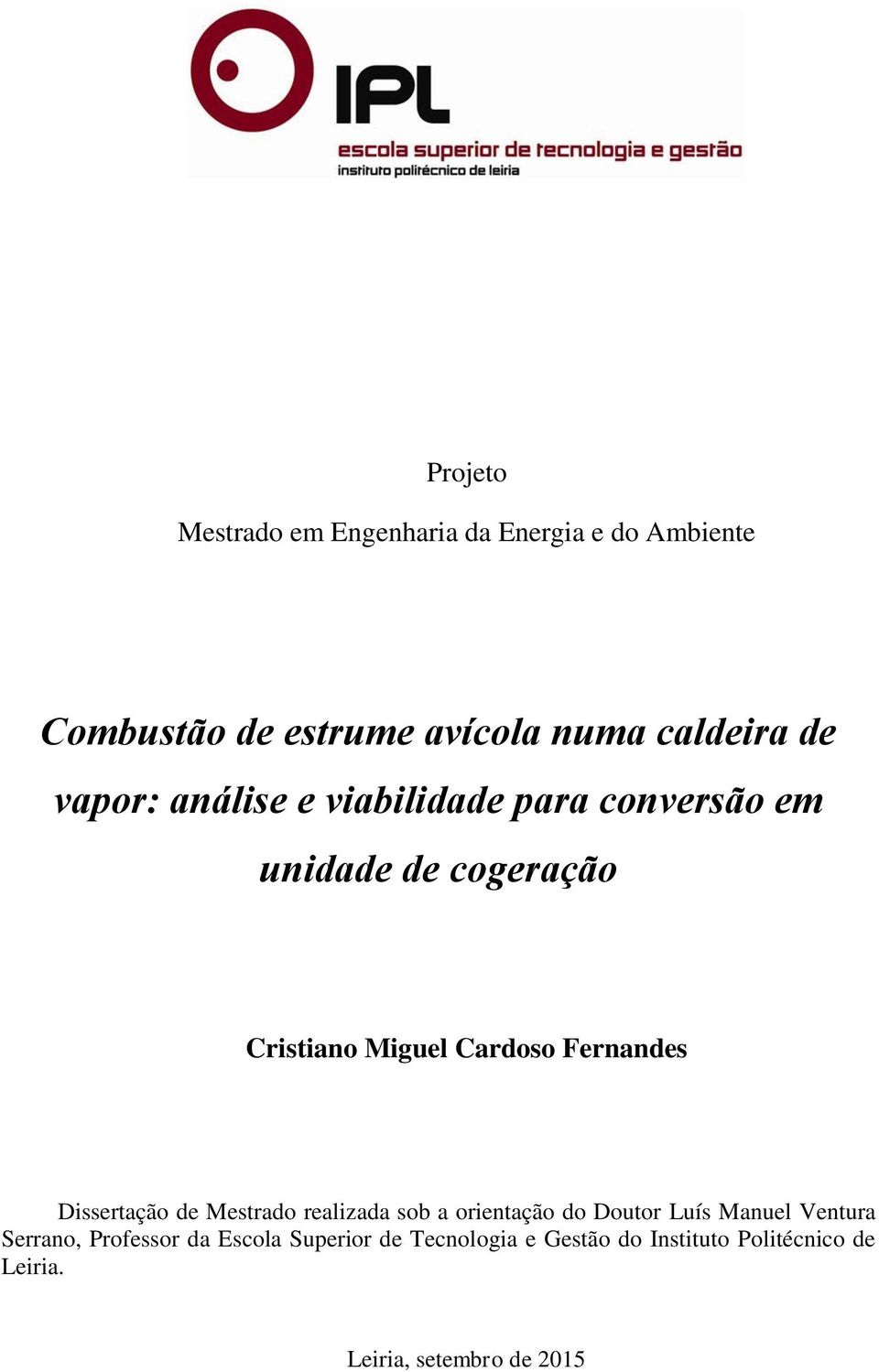 Fernandes Dissertação de Mestrado realizada sob a orientação do Doutor Luís Manuel Ventura Serrano,