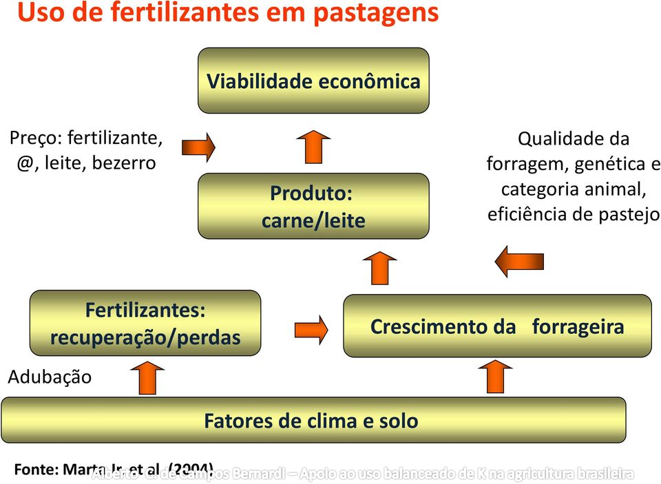 categoria animal, eficiência de pastejo Fertilizantes: recuperação/perdas