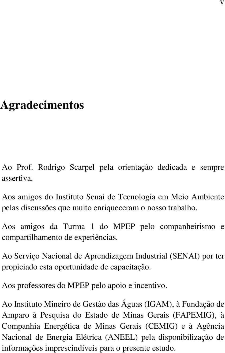 Aos amigos da Turma 1 do MPEP pelo companheirismo e compartilhamento de experiências.