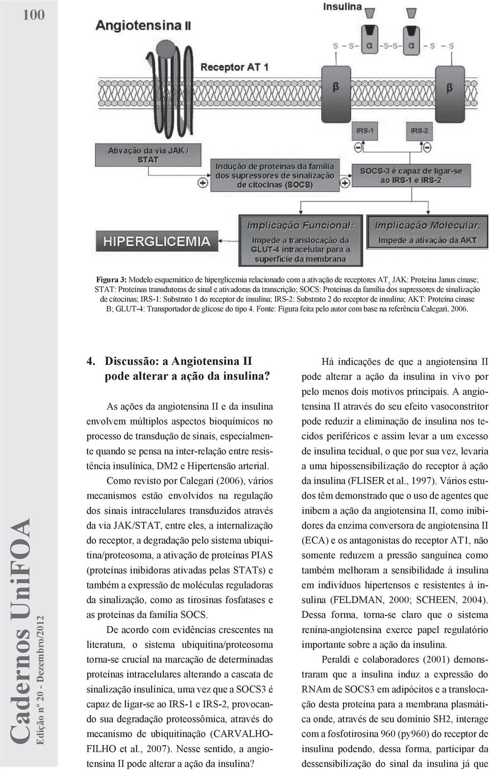 de insulina; IRS-2: Substrato 2 do receptor de insulina; AKT: Proteína cinase B; GLUT-4: Transportador de glicose do tipo 4. Fonte: Figura feita pelo autor com base na referência Calegari, 2006. 4. Discussão: a Angiotensina II pode alterar a ação da insulina?