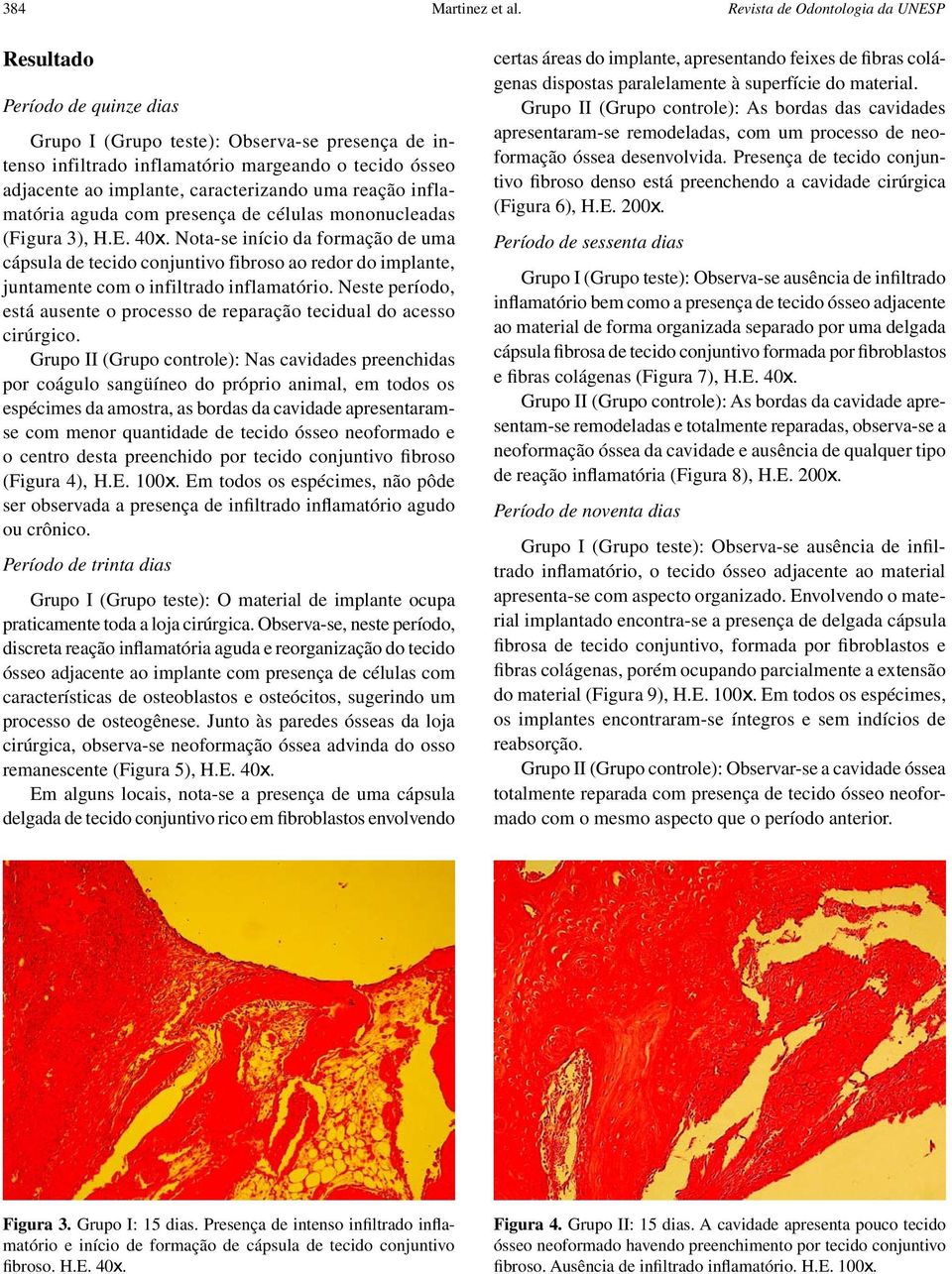 caracterizando uma reação inflamatória aguda com presença de células mononucleadas (Figura 3), H.E. 40x.