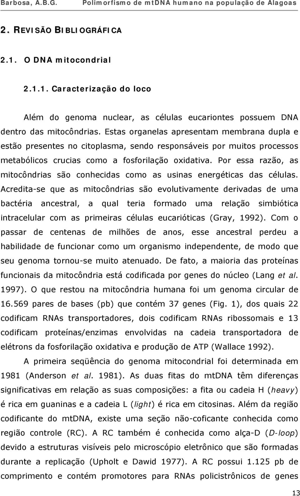 Por essa razão, as mitocôndrias são conhecidas como as usinas energéticas das células.