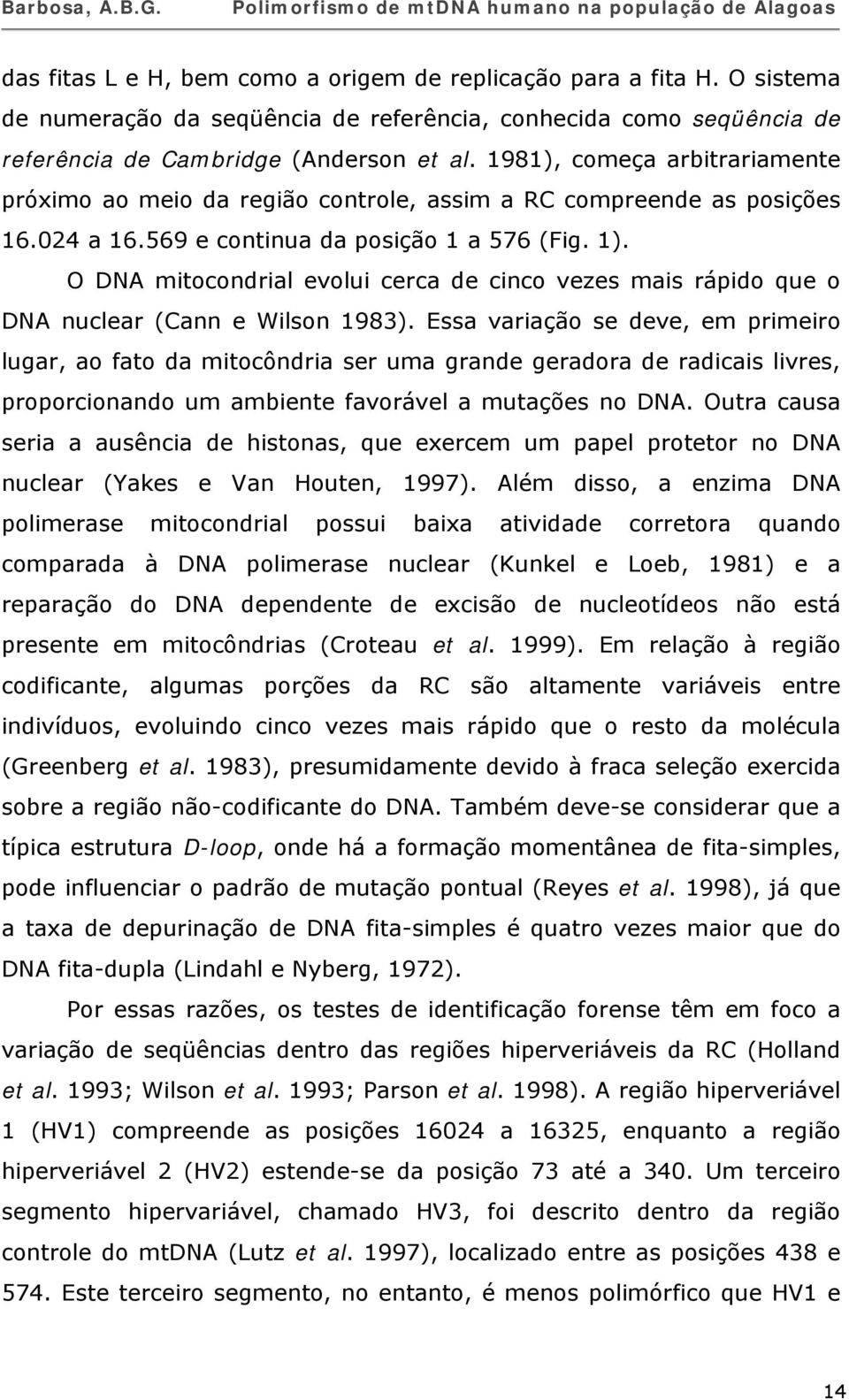 O DNA mitocondrial evolui cerca de cinco vezes mais rápido que o DNA nuclear (Cann e Wilson 1983).