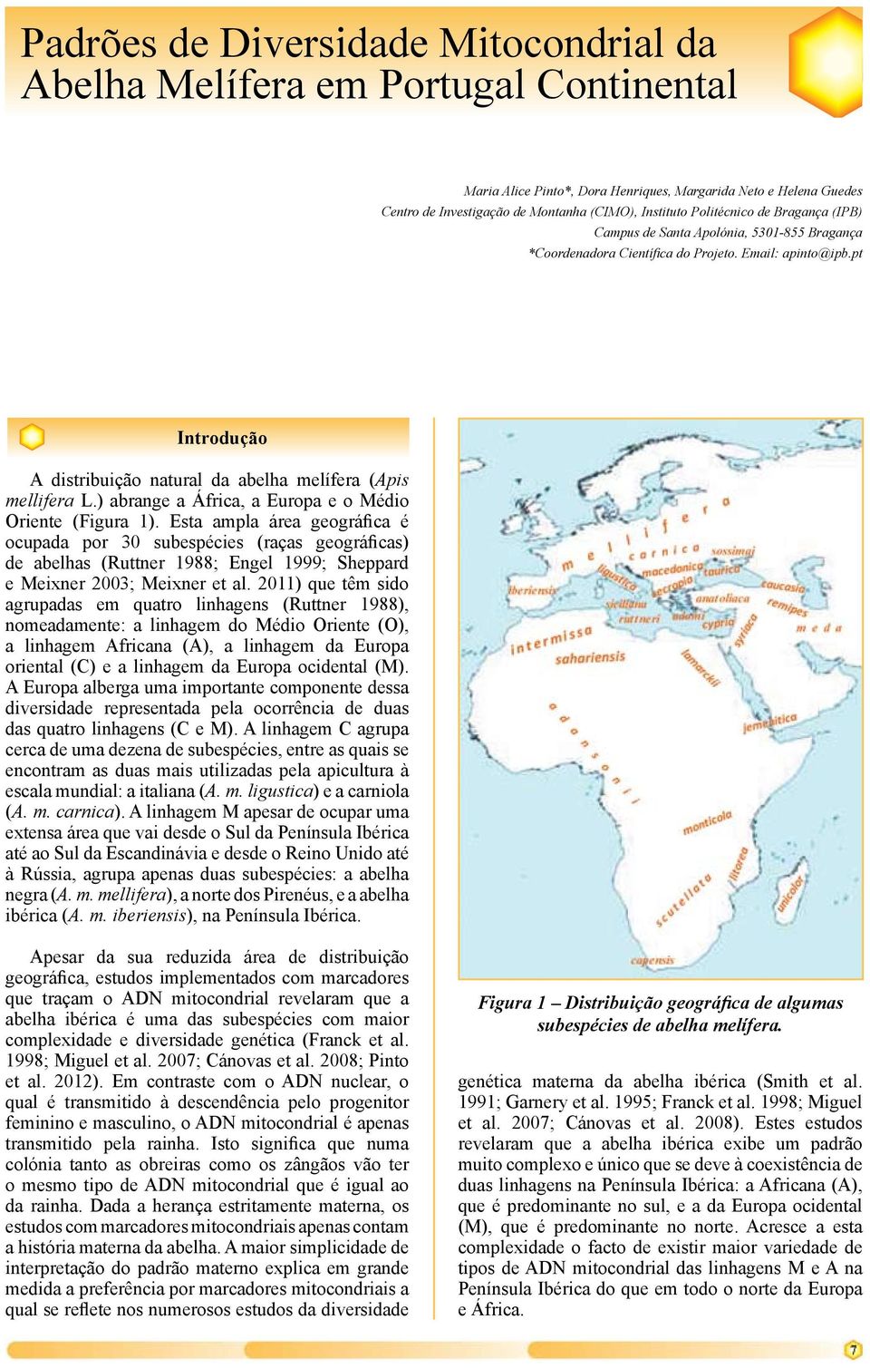 pt Introdução A distribuição natural da abelha melífera (Apis mellifera L.) abrange a África, a Europa e o Médio Oriente (Figura 1).