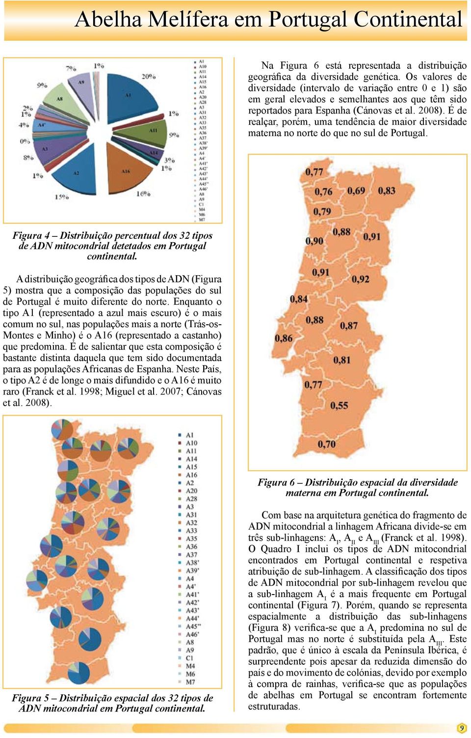 É de realçar, porém, uma tendência de maior diversidade materna no norte do que no sul de Portugal. Figura 4 Distribuição percentual dos 32 tipos de ADN mitocondrial detetados em Portugal continental.