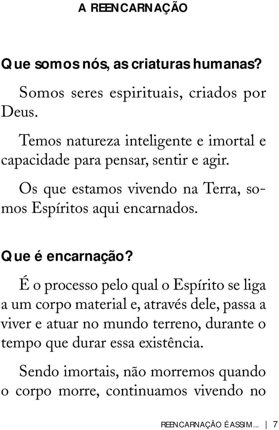 Os que estamos vivendo na Terra, somos Espíritos aqui encarnados. Que é encarnação?