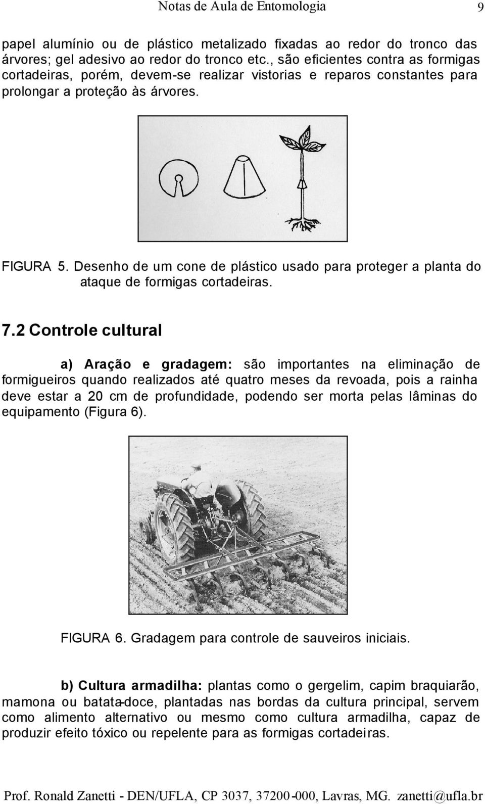 Desenho de um cone de plástico usado para proteger a planta do ataque de formigas cortadeiras. 7.