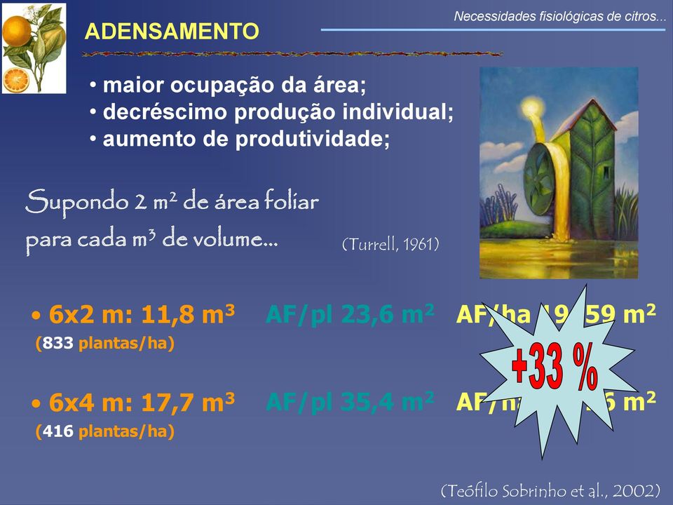 .. (Turrell, 1961) 6x2 m: 11,8 m 3 (833 plantas/ha) AF/pl 23,6 m 2 AF/ha 19659 m