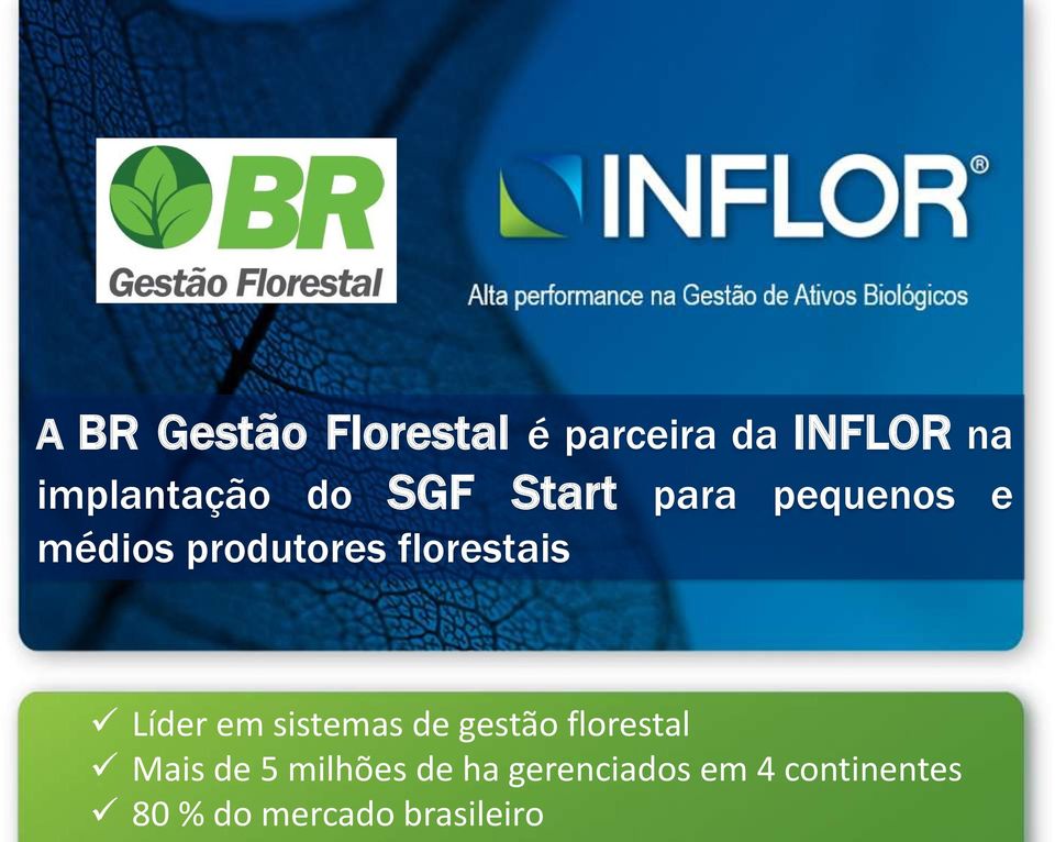 Líder em sistemas de gestão florestal Mais de 5 milhões de