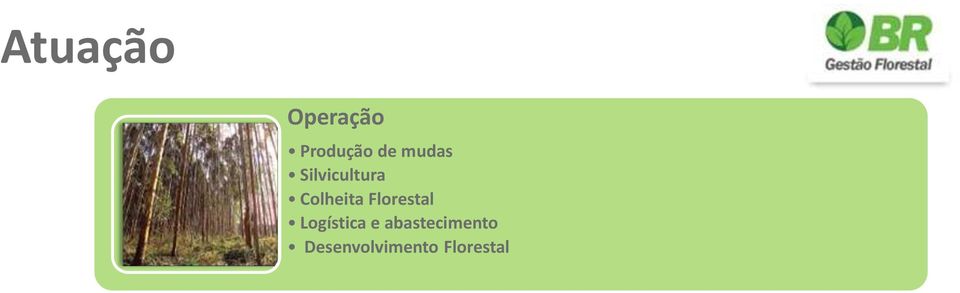 Geoprocessamento Análise de viabilidade técnico e econômica de Projetos florestais Suporte Implantação e manutenção de