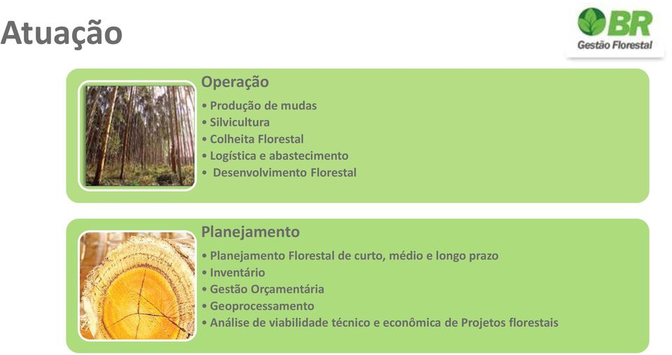 Geoprocessamento Análise de viabilidade técnico e econômica de Projetos florestais Suporte Implantação e manutenção de