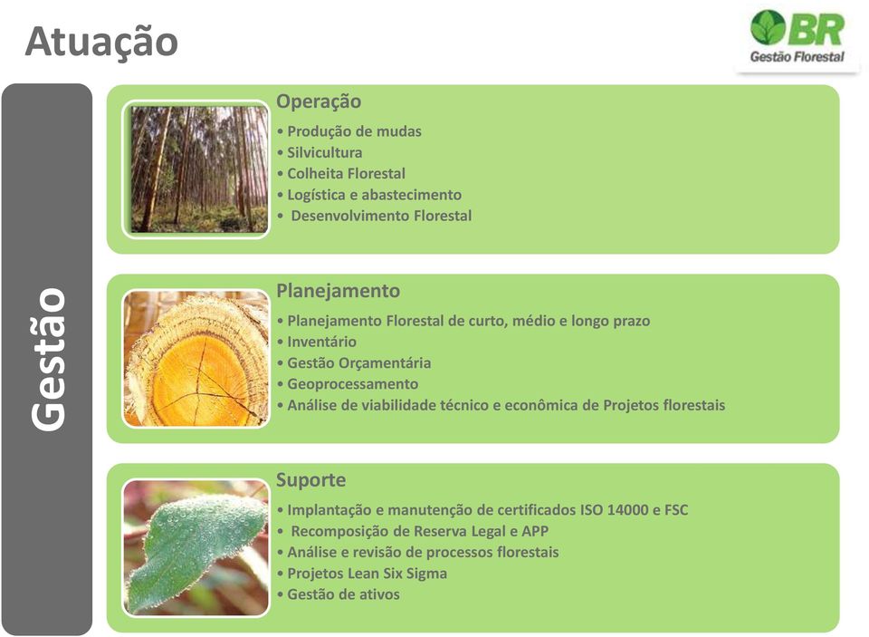 Geoprocessamento Análise de viabilidade técnico e econômica de Projetos florestais Suporte Implantação e manutenção de