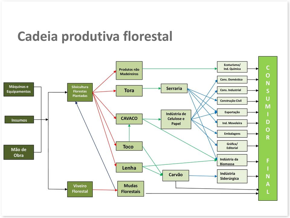 Celulose e Papel Carvão Ecoturismo/ Ind. Química Cons. Doméstico Cons.