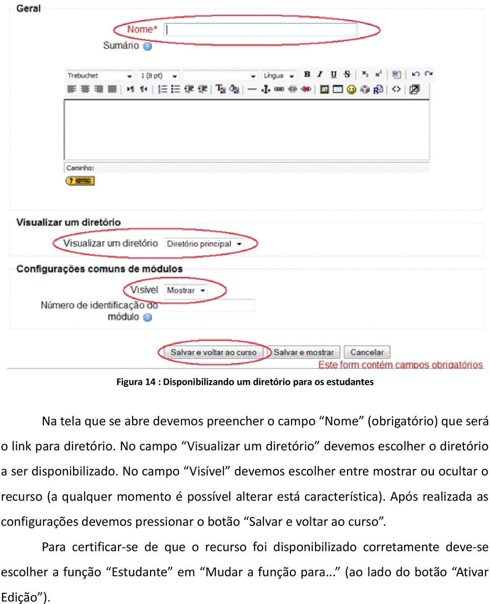 No campo Visível devemos escolher entre mostrar ou ocultar o recurso (a qualquer momento é possível alterar está característica).