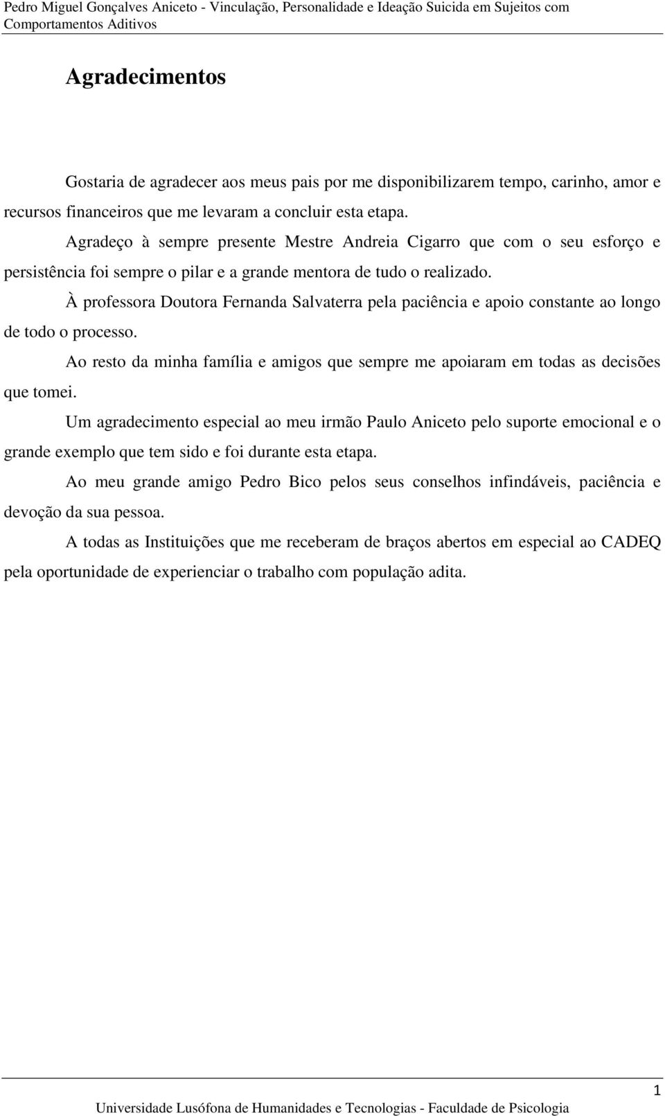 À professora Doutora Fernanda Salvaterra pela paciência e apoio constante ao longo de todo o processo. Ao resto da minha família e amigos que sempre me apoiaram em todas as decisões que tomei.