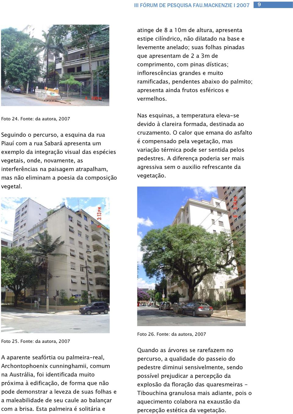 Fonte: da autora, 2007 Seguindo o percurso, a esquina da rua Piauí com a rua Sabará apresenta um exemplo da integração visual das espécies vegetais, onde, novamente, as interferências na paisagem