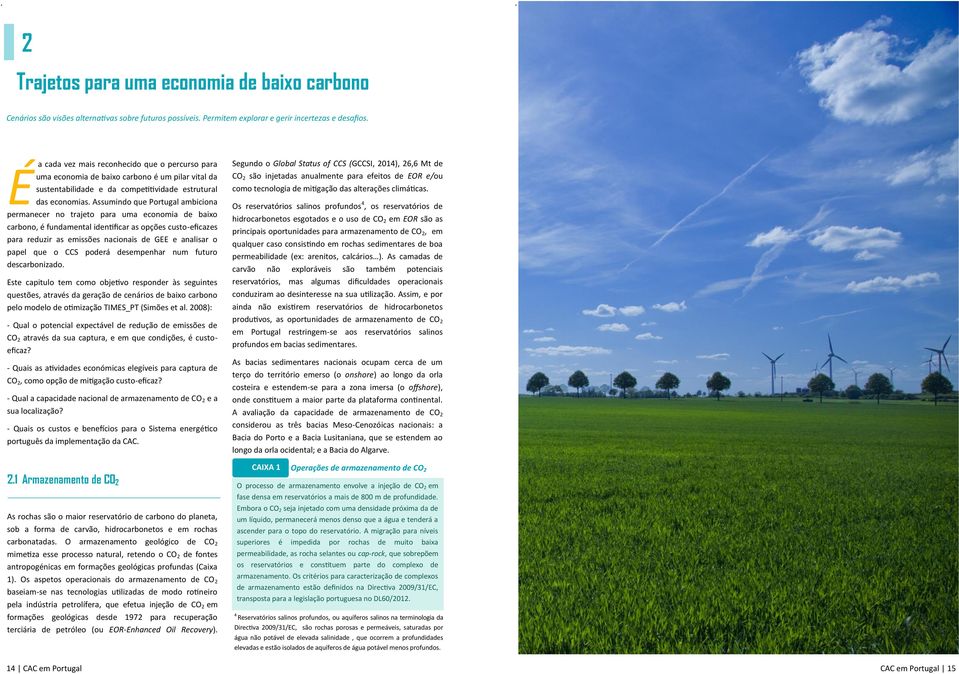 carbono, é fundamental identificar as opções custo-eficazes para reduzir as emissões nacionais de GEE e analisar o papel que o CCS poderá desempenhar num futuro descarbonizado É Este capitulo tem