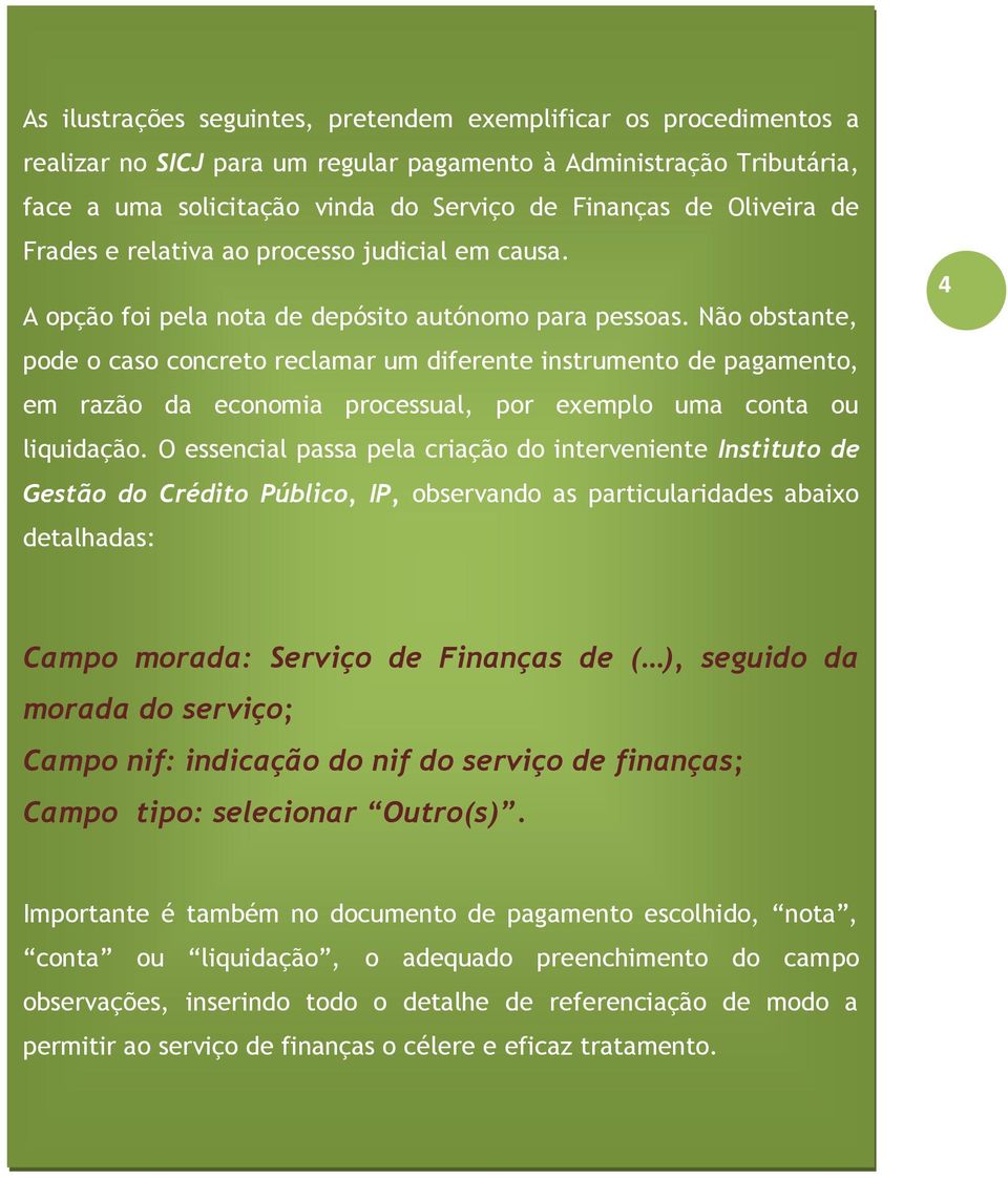 Não obstante, pode o caso concreto reclamar um diferente instrumento de pagamento, em razão da economia processual, por exemplo uma conta ou liquidação.