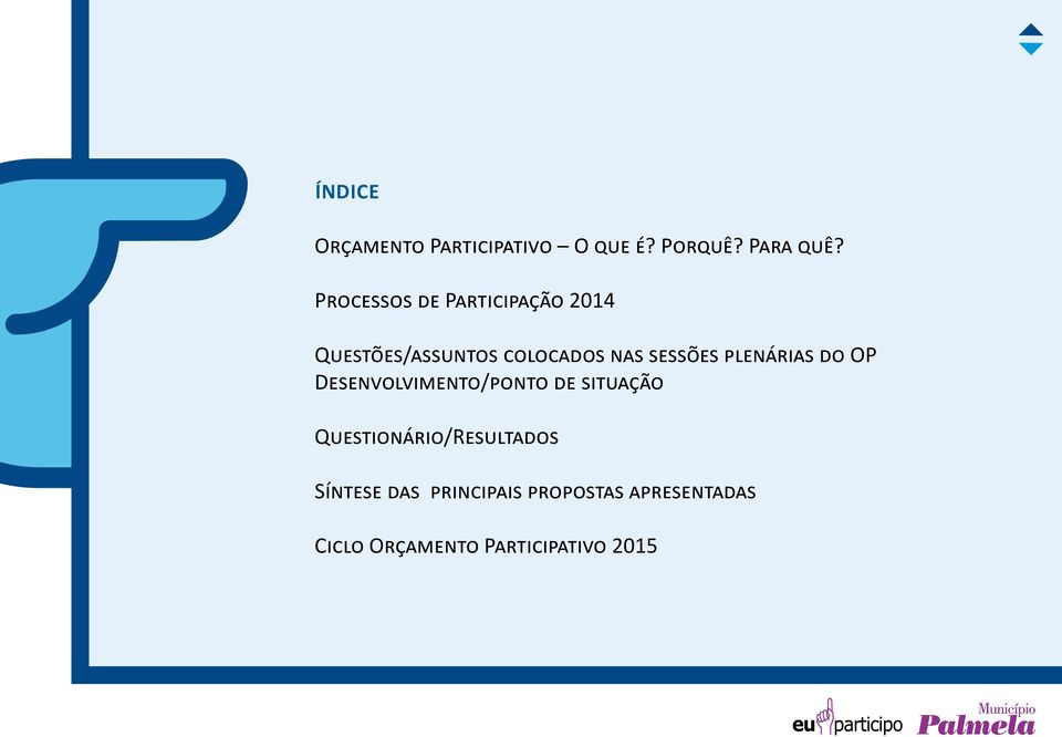 plenárias do OP Desenvolvimento/ponto de situação