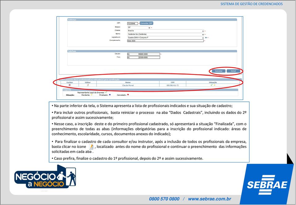 as abas (informações obrigatórias para a inscrição do profissional indicado: áreas de conhecimento, escolaridade, cursos, documentos anexos do indicado); Para finalizar o cadastro de cada consultor