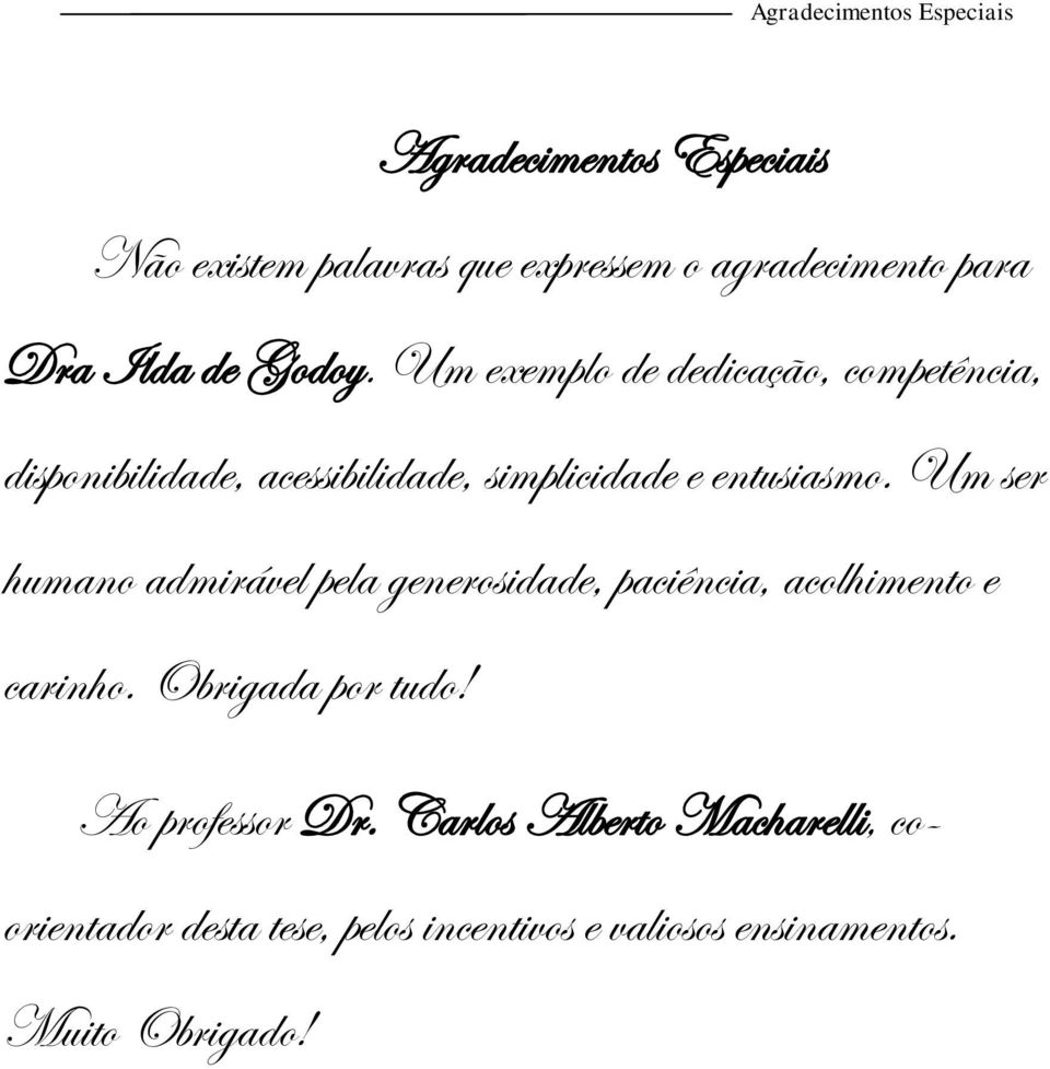 Um ser humano admirável pela generosidade, paciência, acolhimento e carinho. Obrigada por tudo! Ao professor Dr.