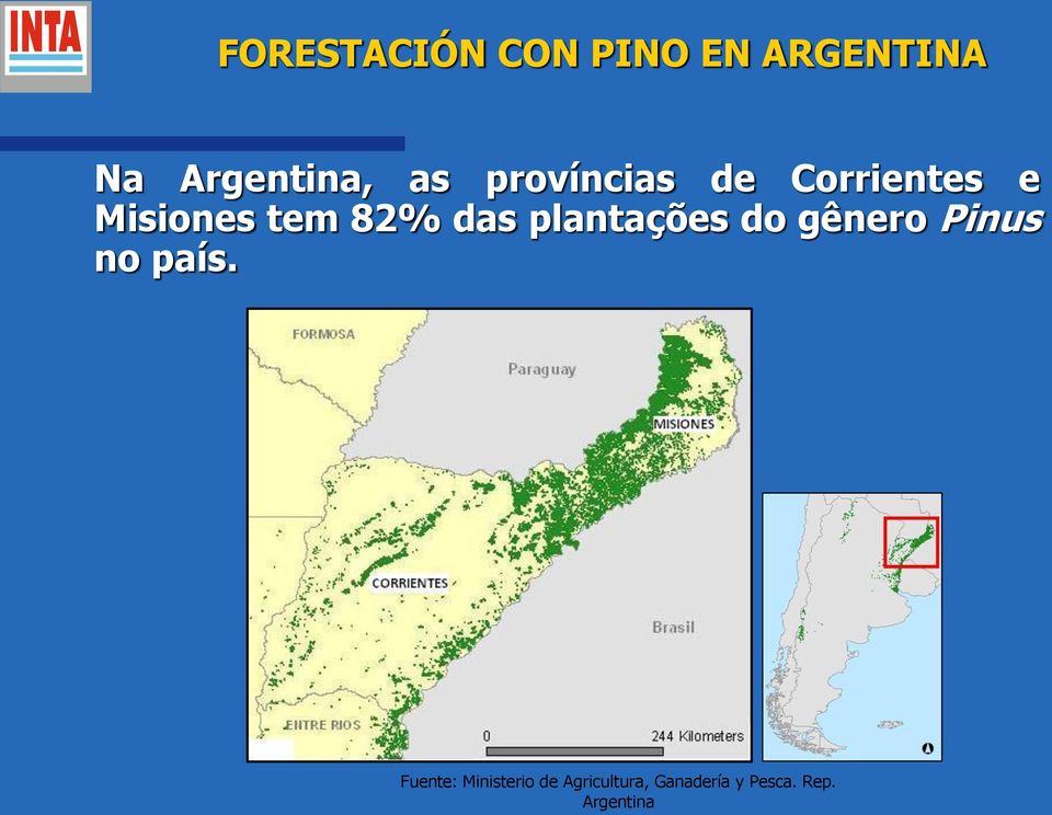 plantações do gênero Pinus no país.