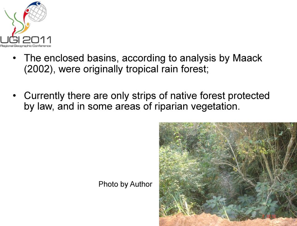 there are only strips of native forest protected by