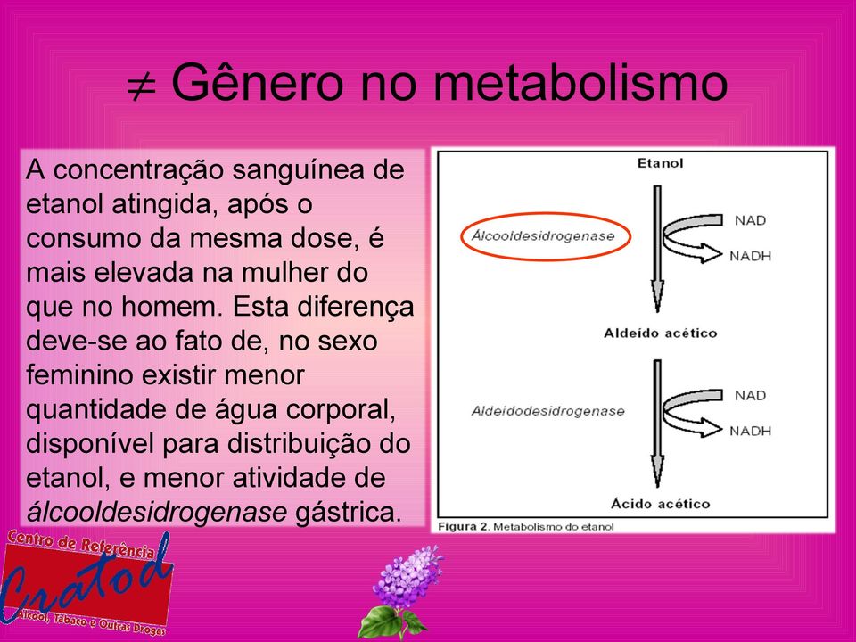 Esta diferença deve-se ao fato de, no sexo feminino existir menor quantidade de