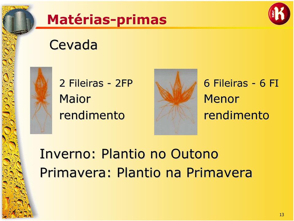 Menor rendimento Inverno: Plantio no