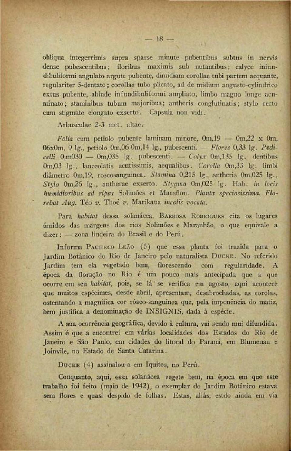 majoribus; antheris conglutinatis; stylo recto cum stigmate elongato exserto. Cápsula non vidi. Arbusculae 2-3 met. altae. Folia cum petiolo pubente laminam minore, 0m,19 0m,22 x Om, OóxOm, 9 lg.