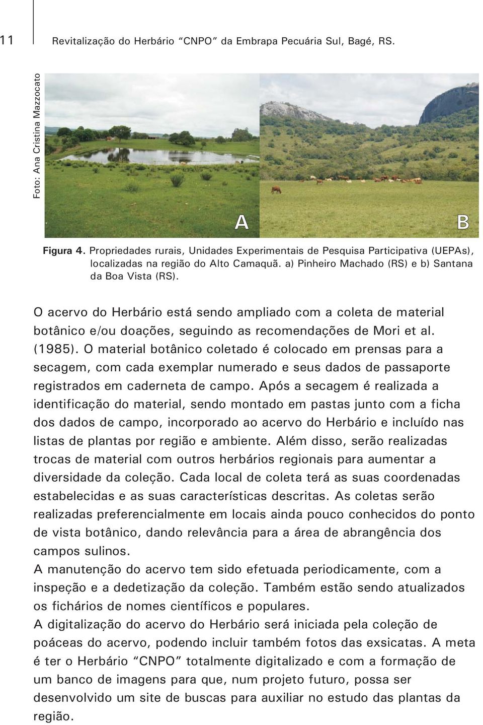 O acervo do Herbário está sendo ampliado com a coleta de material botânico e/ou doações, seguindo as recomendações de Mori et al. (1985).