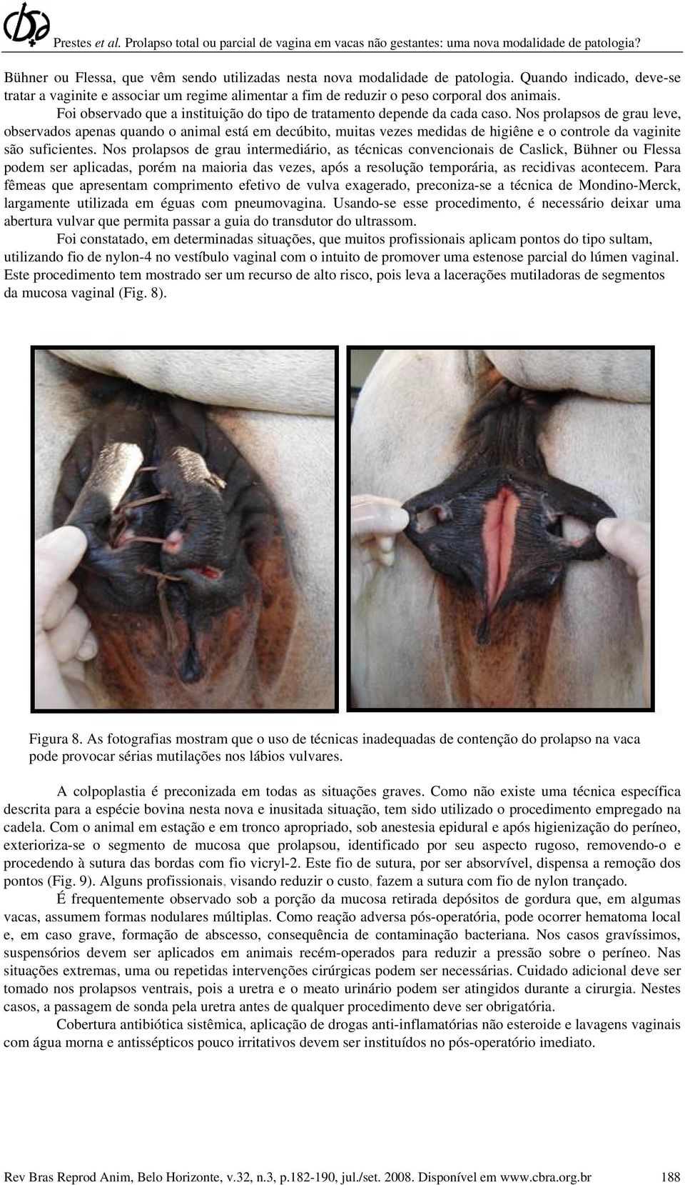 Nos prolapsos de grau leve, observados apenas quando o animal está em decúbito, muitas vezes medidas de higiêne e o controle da vaginite são suficientes.