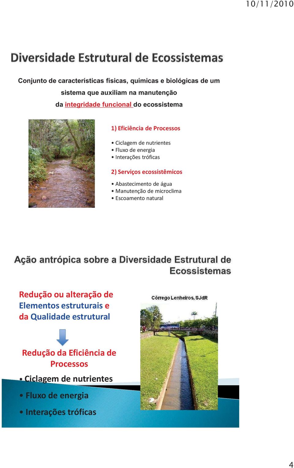 Serviços ecossistêmicos Abastecimento de água Manutenção de microclima Escoamento natural Redução ou alteração de