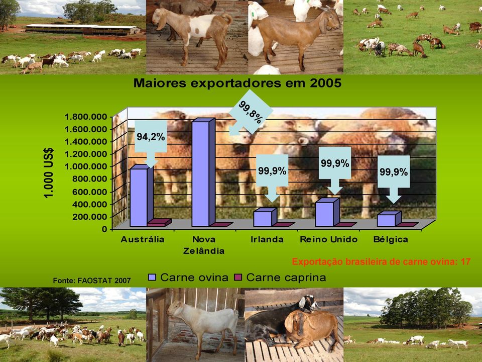000 0 Fonte: FAOSTAT 2007 94,2% Austrália Nova Zelândia Carne ovina 99,9%