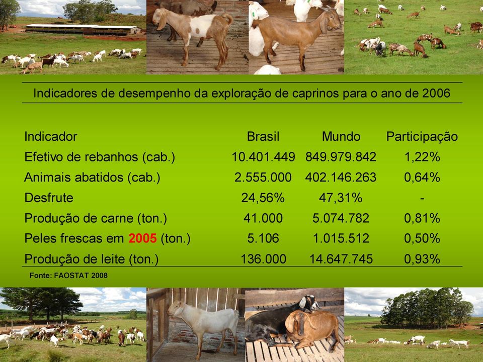 000 402.146.263 0,64% Desfrute 24,56% 47,31% - Produção de carne (ton.) 41.000 5.074.