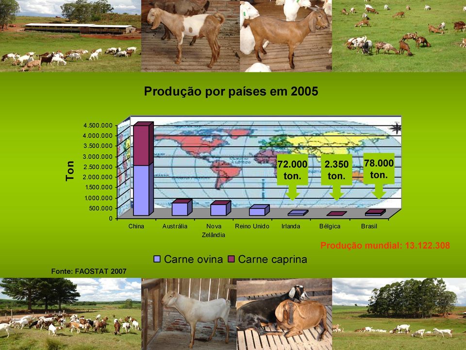 000 Fonte: FAOSTAT 2007 0 China Austrália Nova Zelândia Carne ovina 72.000 ton.