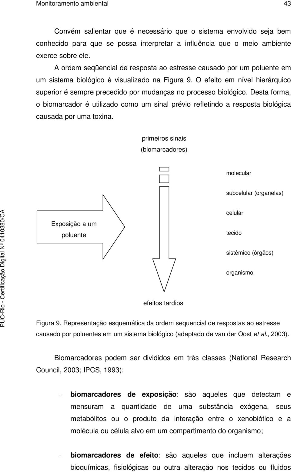 O efeito em nível hierárquico superior é sempre precedido por mudanças no processo biológico.