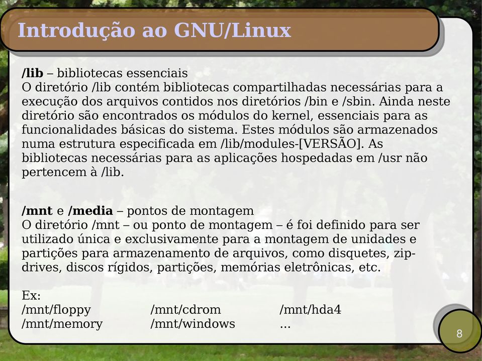 As bibliotecas necessárias para as aplicações hospedadas em /usr não pertencem à /lib.